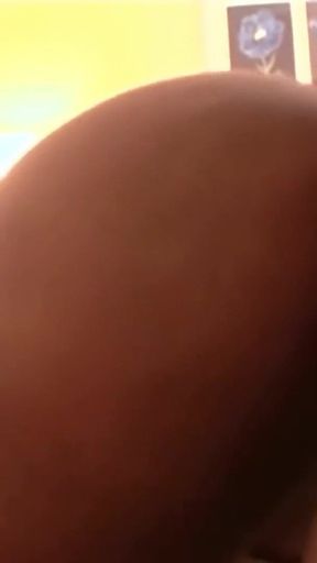 Big Round Booty