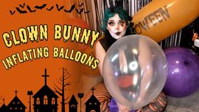 Clown bunny tries her best to blow