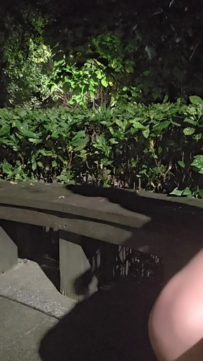 Shemale Ting Xuan Outdoor Amazing Anal