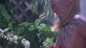 Pamela - The Painted Fantasy