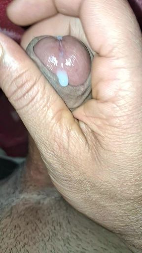 Fast Time so Nice Com