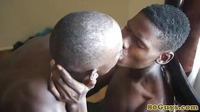 Cock sucking black boys