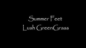 Summer Green Grass Play