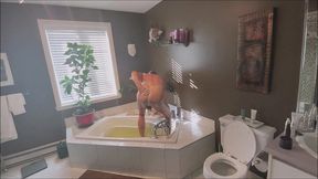 domrodhunkdad - update #30 - bath ritual - feb 29, 2024