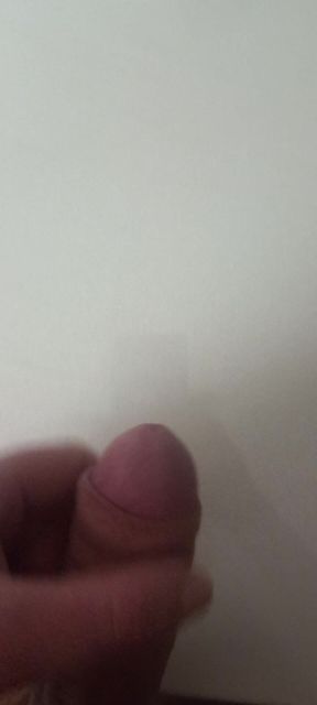 Acorn