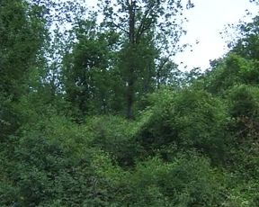 Two French Couples Turning Picnic Into Hot Outdoor Foursome