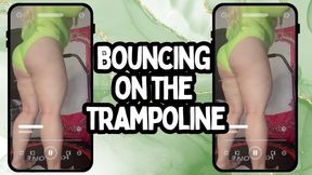 Trampoline Bounce