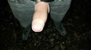 Thick Pulsating Cock Cumming 2 Times in One Evening Outdoor