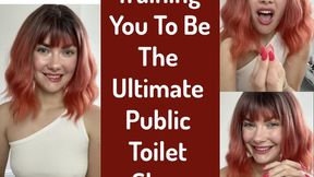 Training You To Be The Ultimate Public Toilet Slave