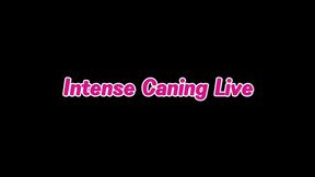 Intense Caning Live