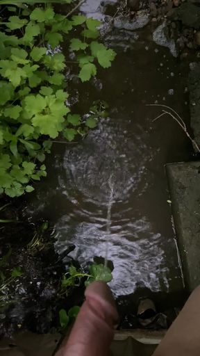Piss