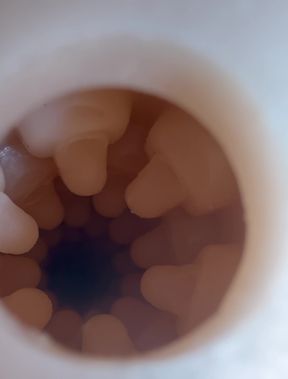 Stoya Destroya Fleshlight Fuck With Internal Veiw