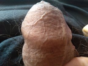 gay man proud of his hard dick