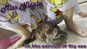 At the service of My ass
