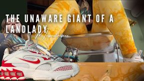 The Unaware Giant of a Landlady