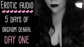 Control & Denial Asmr Audio Series - Day 1 Of 5 (audio Only Joi Femdom Lady Aurality)