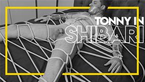 Tonny in Shibari by Brenno Furrier (1080p) Gay Bondage - Gay Domination - Male Bondage - Foot Fetish - BDSM - Soles - C4SBondage26