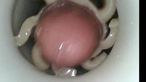 Internal fleshlight cum