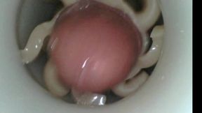 Internal fleshlight cum
