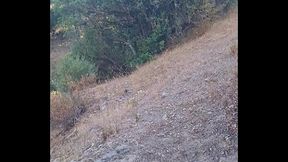Allez venez je vous am&egrave_ne dans le Maquis Corse pour une exib hummmm