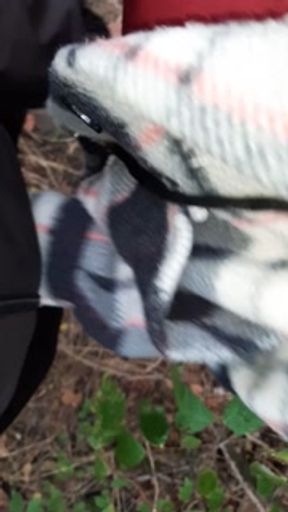 Me and my girlfriend masturbate in the forest so that no one knows that we are lesbians