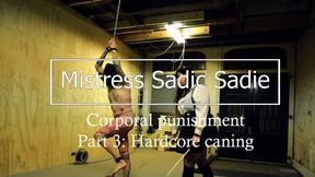 Part 3 Hardcore caning after using the paddle, single tail and bullwhip.
