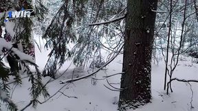 Nature's call. Hard poking in the forest with yam-sized popshot and cum inside fuckbox from a molten bombshell with exceptional natural boobies and naked body.