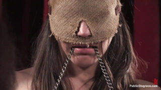 Orgie, gangbang, bondage &#8211; Gangbang anal intense pour Bobbi Starr et Princess Donna