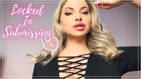 720WMV Locked In Submission Vol 1