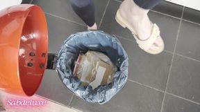 Scholl Cardboard Crush