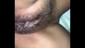 Compilaci&oacute_n de co&ntilde_os peludos mexicanos