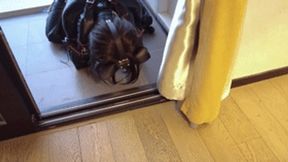 mz12 - Latex-bound puppy vibrates to reach orgasm