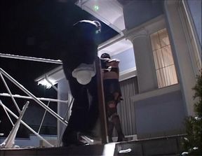 Piss Swallow Movie