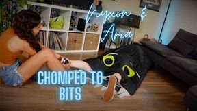 Nyxon & Aria Urban Explorers Chomped To Bits HD 720p MP4