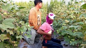 Indian Shemale Movies - Pooja Shemale Bhabhi Cotton Farming Coming and Big Age Boyfriend Ass Lover - Desi Fucking - Hindi Voice