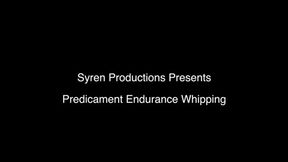 Predicament Endurance Whipping (720p)