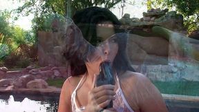 danica dillan gets her holes stretched by filthy rich