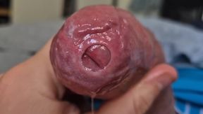 Uncut Head Precum Play
