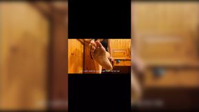 Foot Worship POV � Submissive to My Dirty Feet