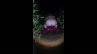 Teen Slut Piss Pee and Urination compilation