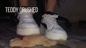 Teddy crushed