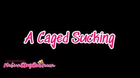 A Caged Sucking