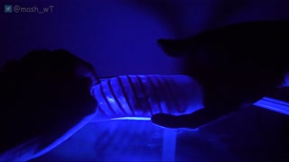 [ASMR for Women] Do not touch your pussy while I'm fingering for 10 minutes. [Ear licking]