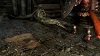 Foxsy's Skyrim Adventures : Part 1