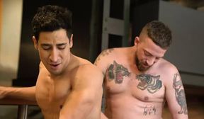 m u s c l e    m a r c e l