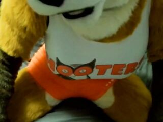 Hooters Cosplay