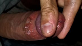 Playing with the head of a wet penis