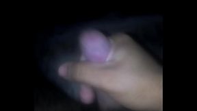 The most beautiful and the smallest rod in the world