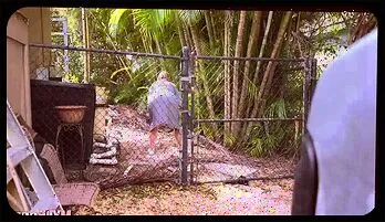 Stepmom Fitness Obsession Caught on Camera