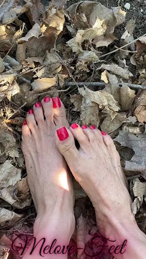 Melove Sexy Small Feet with Red Toe Nails in Leaves